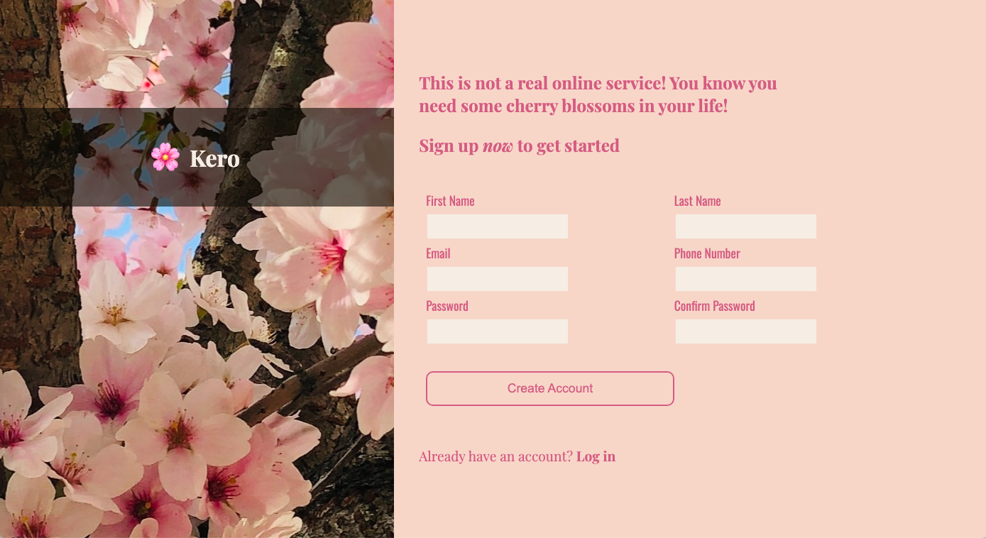 Sign-up form created via HTML and CSS